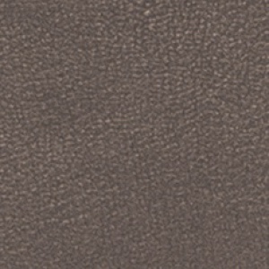 Taupe Taupe