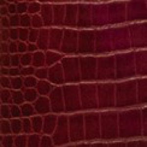 Burgundy Burgundy